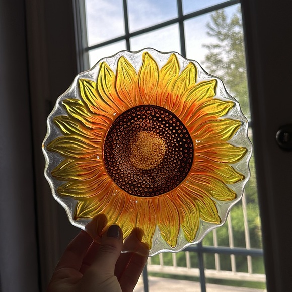 Pier 1 Imports Set of Floral Glass Plates - Picture 8 of 13